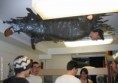 /album/fotogalerie-hloupy-napad/boy-with-tape-stuck-to-the-ceiling-jpg/
